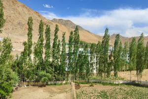 Hotel Khakshal Photo Gallery